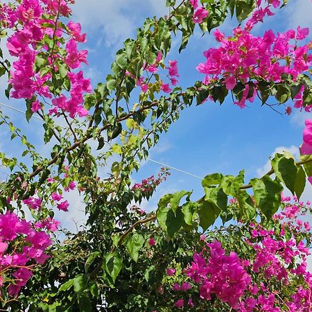 Ploes Luxury Cottages Pesádha エクステリア 写真