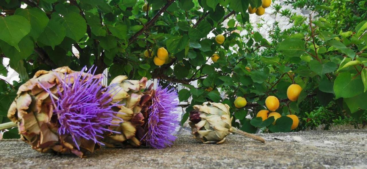 Ploes Luxury Cottages Pesádha エクステリア 写真