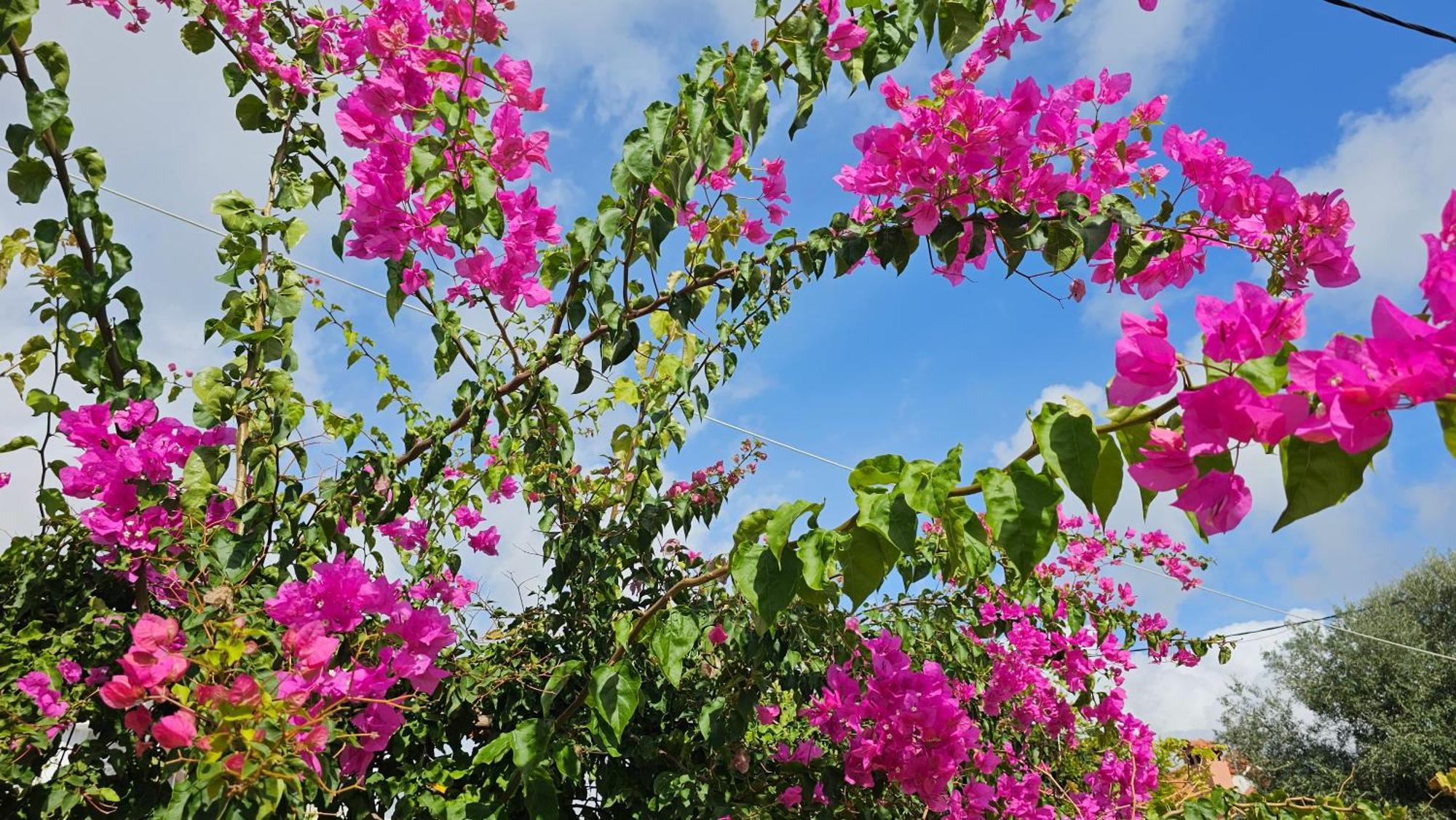Ploes Luxury Cottages Pesádha エクステリア 写真