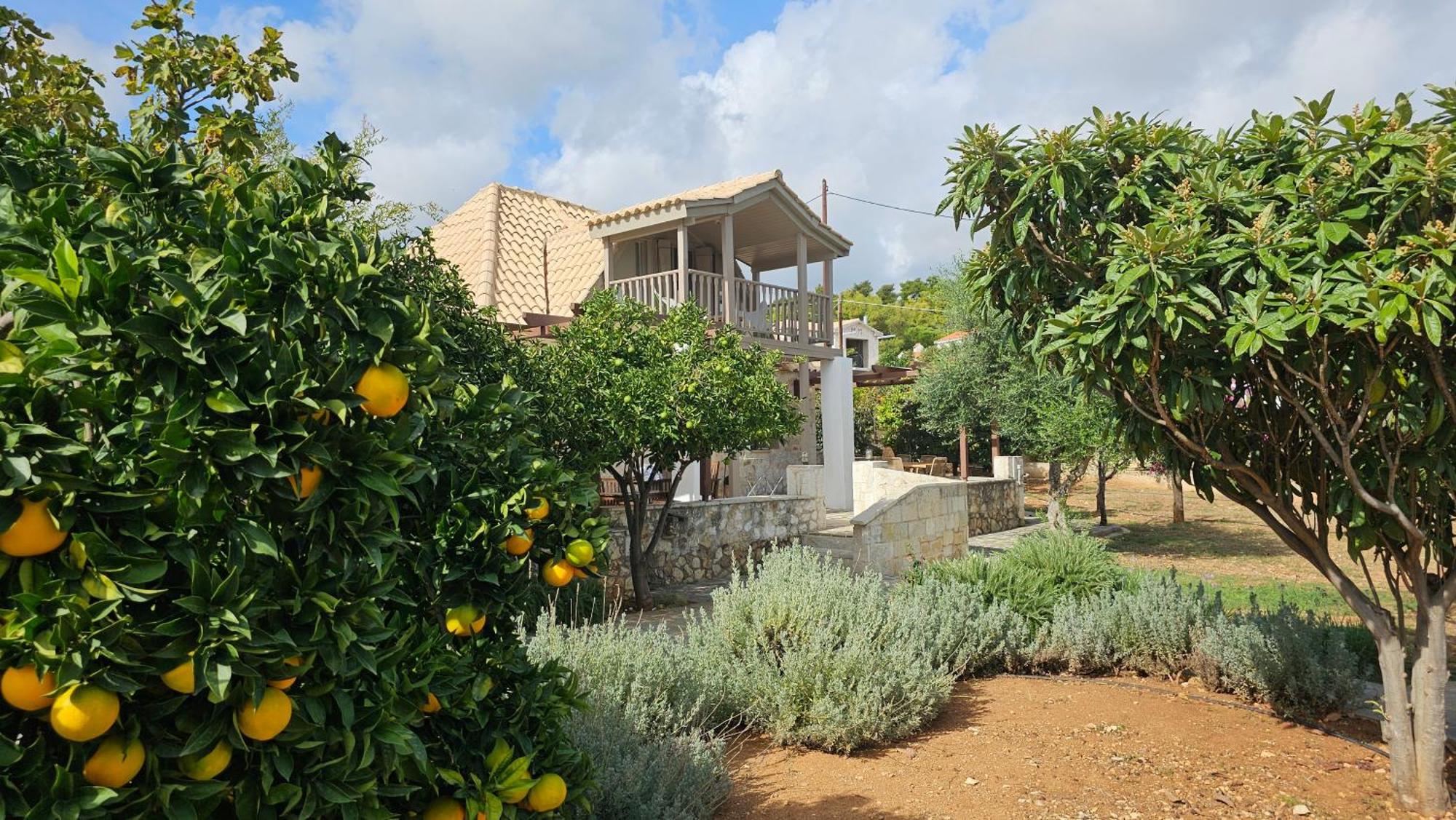 Ploes Luxury Cottages Pesádha エクステリア 写真