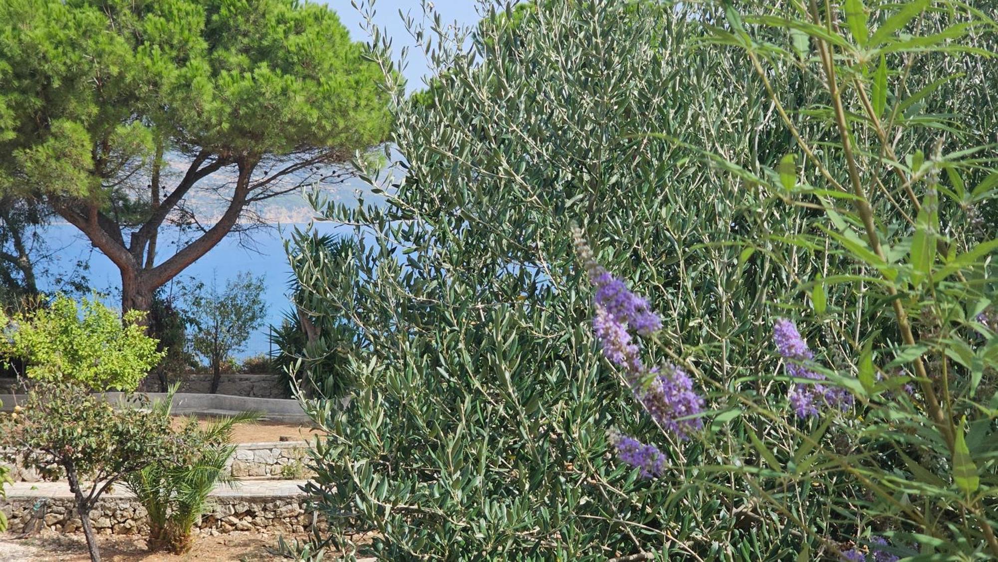 Ploes Luxury Cottages Pesádha エクステリア 写真